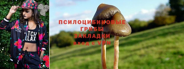 индика Беломорск