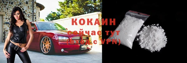 винт Белокуриха