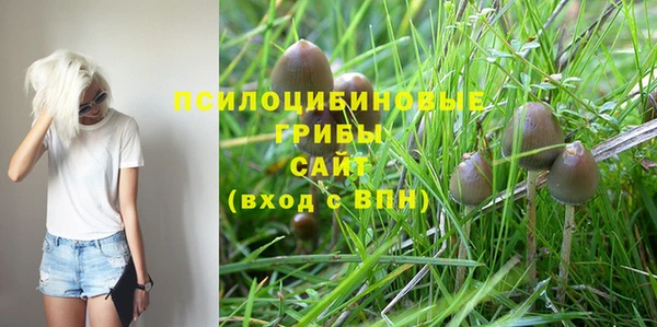 винт Белокуриха