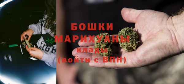 индика Беломорск