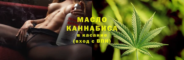 индика Беломорск