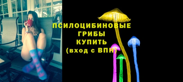 индика Беломорск