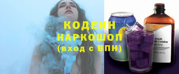 индика Беломорск