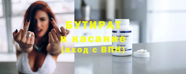 индика Беломорск