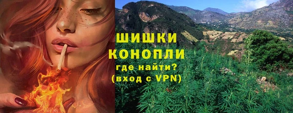 винт Белокуриха