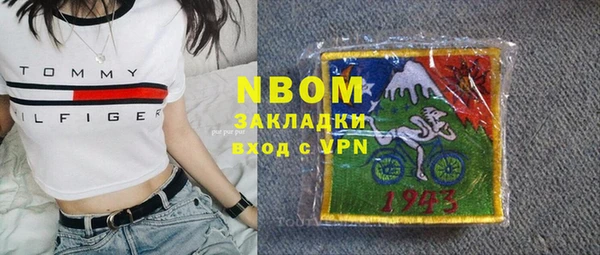 индика Беломорск