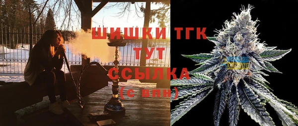 индика Беломорск