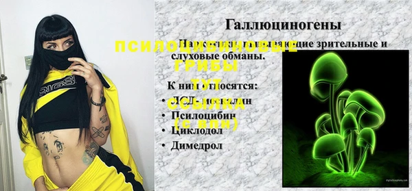 индика Беломорск