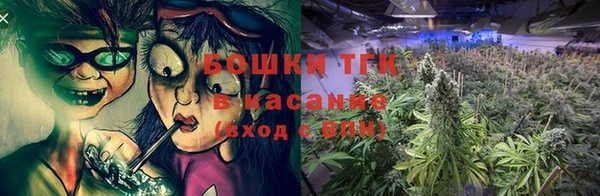 индика Беломорск