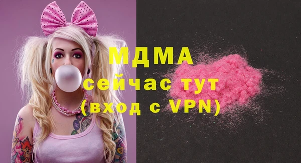 индика Беломорск