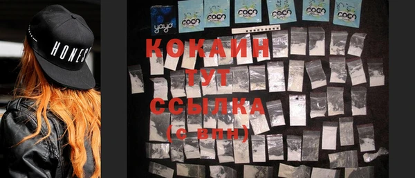 индика Беломорск