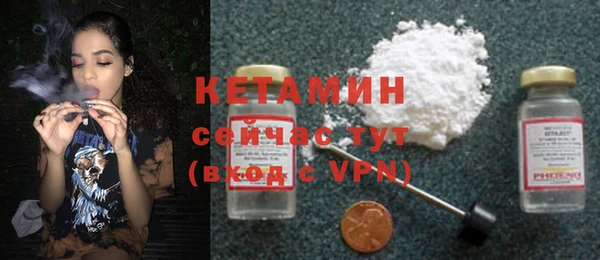 индика Беломорск