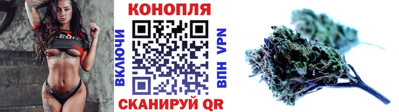 Шишки марихуана OG Kush Оха